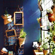 herb garden wall